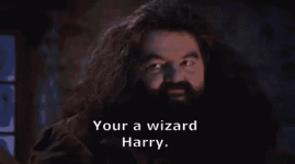 1748759205608.gif