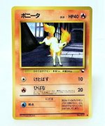 Ponyta.jpg