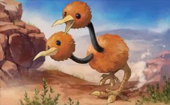 Doduo3.jpg
