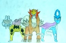 1000004441.jpg 1000004441.jpg