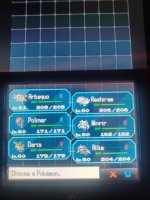 pokemonblack1team.jpg