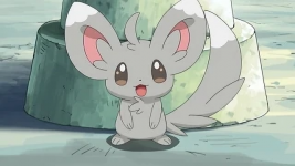 PK16_Minccino_scaled2x.png