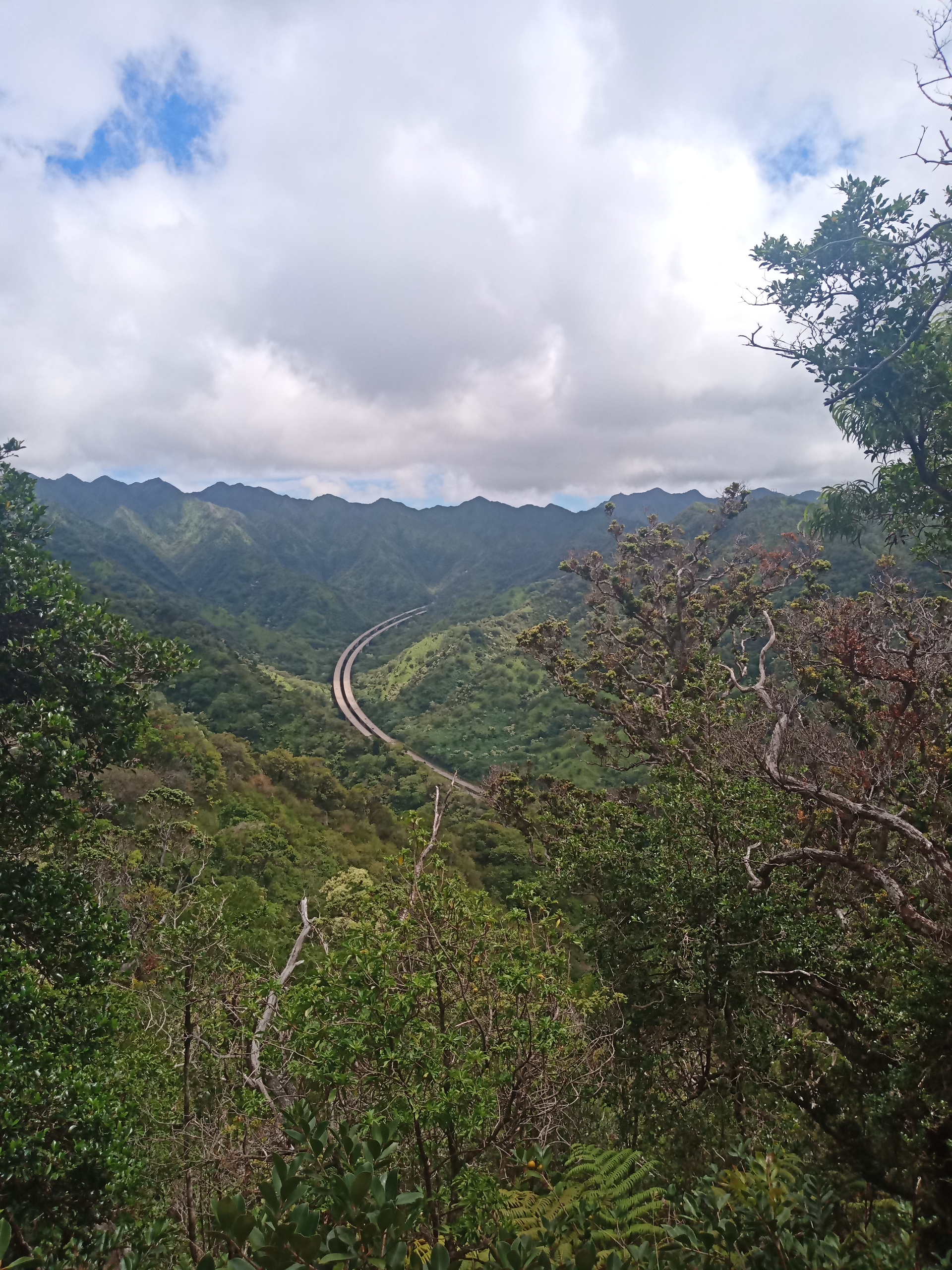 Aiea%20Loop%20Trail%203.jpg