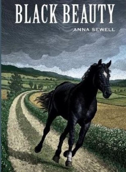 classic-horse-books-for-girls.jpg