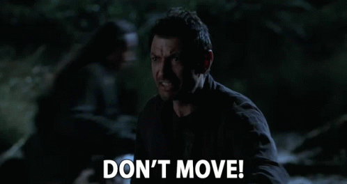 dont-move-stay-still.gif