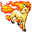 rapidash.png
