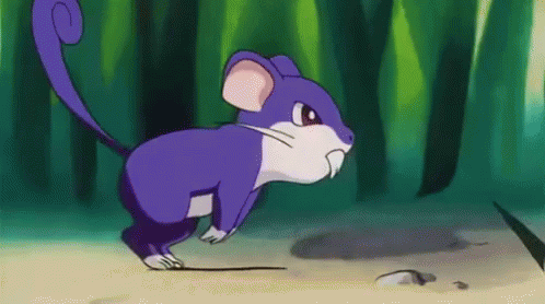 pokemon-rattata.gif