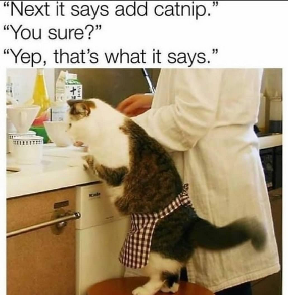 catnip.PNG