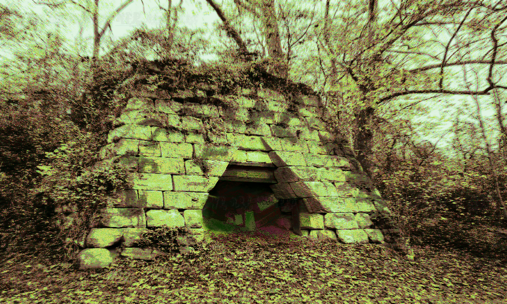 a mineshaft entrance in the middle of an overgrown and distorted forest sits, the point you exited the tunnel below from a mineshaft entrance in the middle of an overgrown and distorted forest sits, the point you exited the tunnel below from