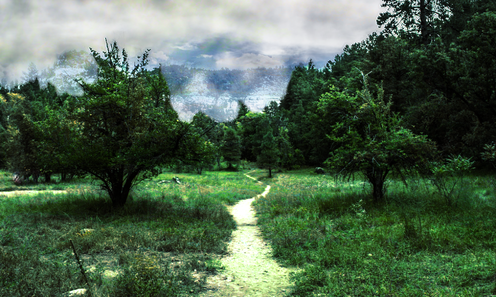 a clearing where a path is worn through the middle. some lone tress sprout out within the clearing, and the cloud cover obscures the mountainside rising int he distance. the sky is distorted as though a fog cover begins after the trees. underneath one to the left is a grazing beast with warped and mottled flesh a clearing where a path is worn through the middle. some lone tress sprout out within the clearing, and the cloud cover obscures the mountainside rising int he distance. the sky is distorted as though a fog cover begins after the trees. underneath one to the left is a grazing beast with warped and mottled flesh