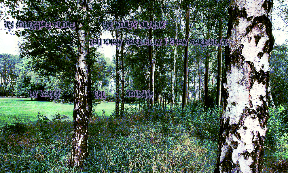 the edge of another clearing. birch trees are visible in the foreground between the light grass brush. the whispers are back and say Its something along the word's archaic     You know normally I know normally     My vote's the voidship. the edge of another clearing. birch trees are visible in the foreground between the light grass brush. the whispers are back and say Its something along the word's archaic     You know normally I know normally     My vote's the voidship.