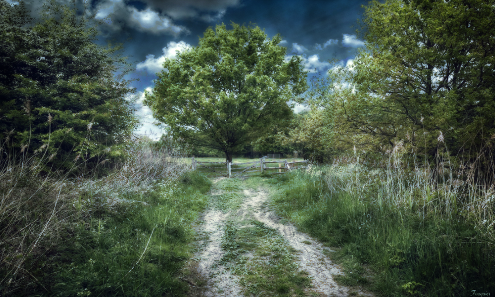 this time the path at least approaches a gate after which stands a tall tree. this time the path at least approaches a gate after which stands a tall tree.